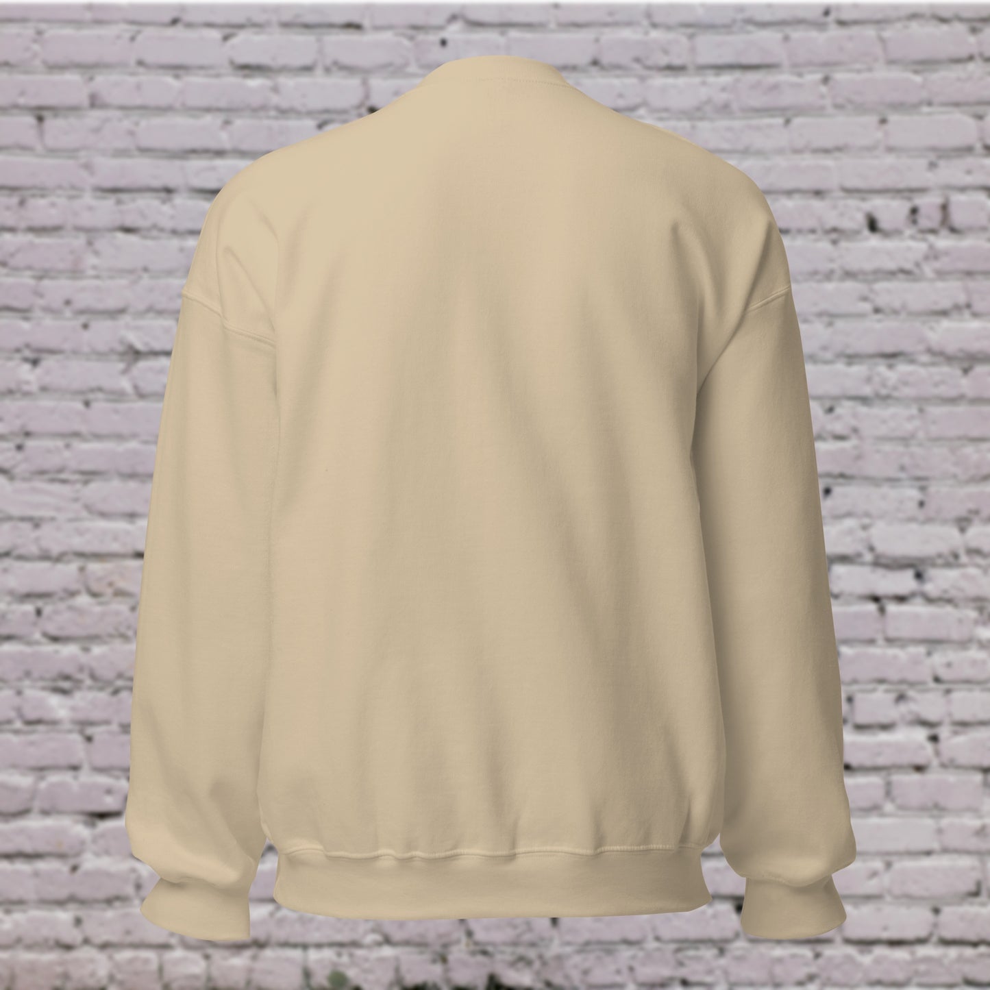 Back view CORE Sand sweatshirt Dancewear